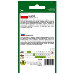 Nasiona Lobelia stroiczka Mitternacht pnos789